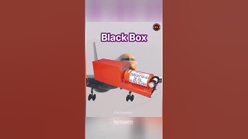 Black Box Recording inside the airplane 😱⁉️ | Factoamir | #shorts #viralvideo #new #knowledge