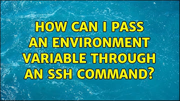 How can I pass an environment variable through an ssh command? (5 Solutions!!)