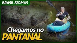 A EXPEDIÇÃO BRASIL BIOMAS CHEGA AO PANTANAL! | RICHARD RASMUSSEN