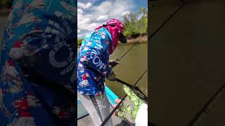 Catch and release Barramundi #fishing #barramundi #catchandrelease #reels #shorts #viral