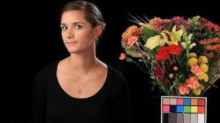 Achieving Accurate Color Using The Canon T2i 550D