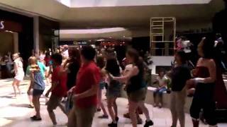 Hamilton Place Flash Mob, July 2011