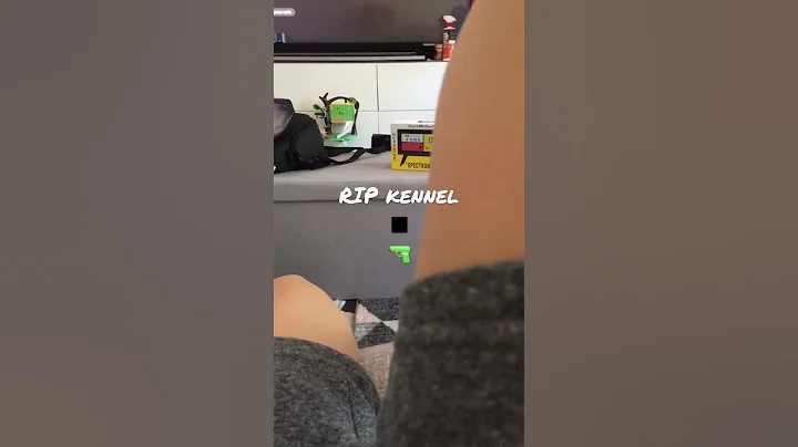 I made a video of kennel passing away (sad)