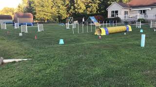 USDAA Agility 2
