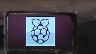 RaspberryPi - Volumio - OLED 1.3" SH1106 from DigOle Demo