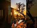 People Fall – A Journey Through Broken Hearts