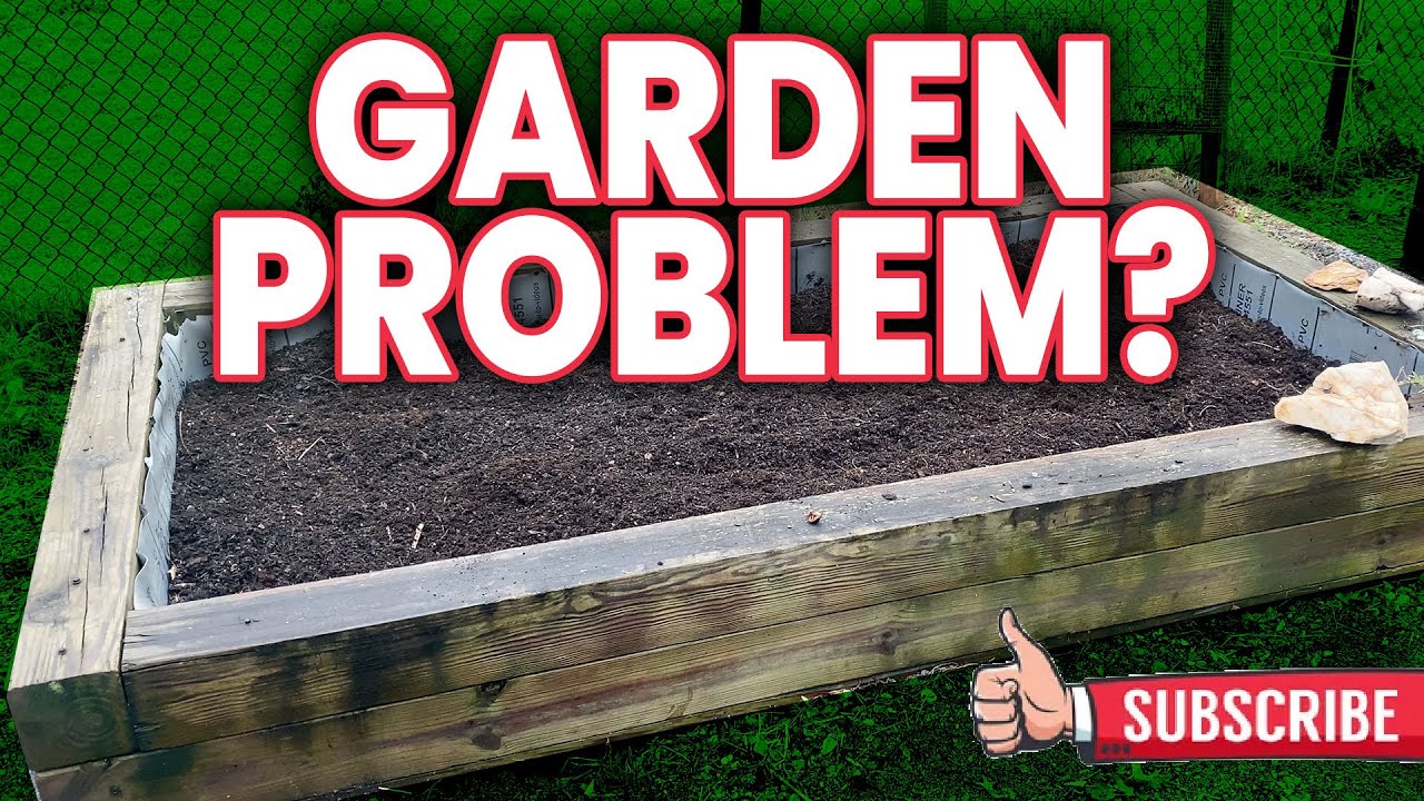 What Should I Plant In My Garden? - YouTube