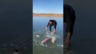 Amazing Ice Fishing - Awesome techniques Break Ice🐟 #Shorts