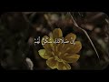 Surah AtTawbah Verses 102106 Reciter Haitham AlDakhin  mp3