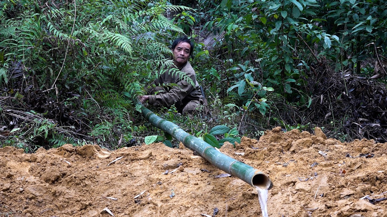 Channeling Water to the Pond & Stocking Fish | 365 Days of Survival in the Deep Forest | Ep 18