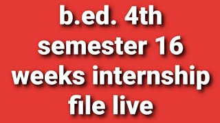nehasingh b.ed. 4th semester  16 weeks internship