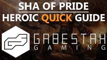 Sha of Pride Heroic Quick Raid Guide [VOX]