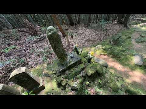 【7/7(月)1156日目/岐阜県各務原市】通説と都市伝説【マクドナルド イオンタウン各務原店からライブ配信】