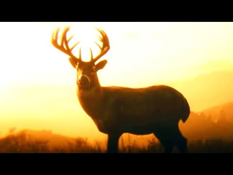 Red Dead Redemption 2 - Help John / High Honor Ending - YouTube