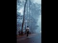 Teri galiyan#youtubeshorts #virel # lyrics video #dear ..!!