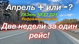 видео: Апрель в плюс или в минус? ГАЗель NEXT G2,5 Рефрижератор 5м картинка: Апрель в плюс или в минус? ГАЗель NEXT G2,5 Рефрижератор 5м