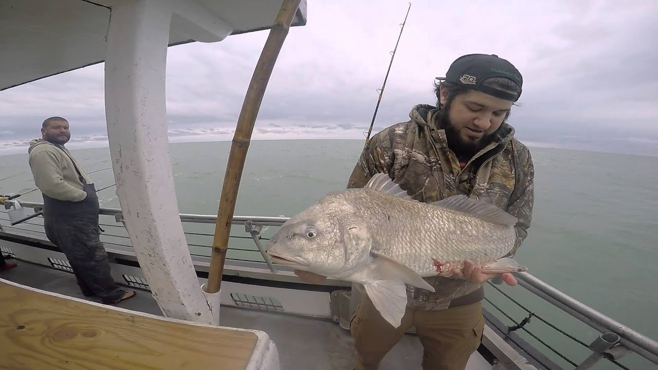 Dolphin Dock 12/28 Port aransas YouTube