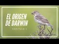 El origen de Darwin: Filosofía de los Orígenes #1