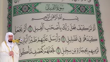 سعد الغامدي - سورة الفيل (105) بجودة عالية - Saad Al Ghamdi - Surah Al-Fil [105]