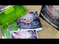 [Unboxing] MORE MORE JUMP! SEKAI ALBUM vol.1 [w/ Goods, Limited Edition]