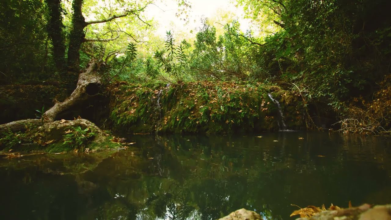 4K Relaxing Nature & Sleepy Meditation Sounds 🌿 Birdsong & Flowing Water |📍Duden Waterfall