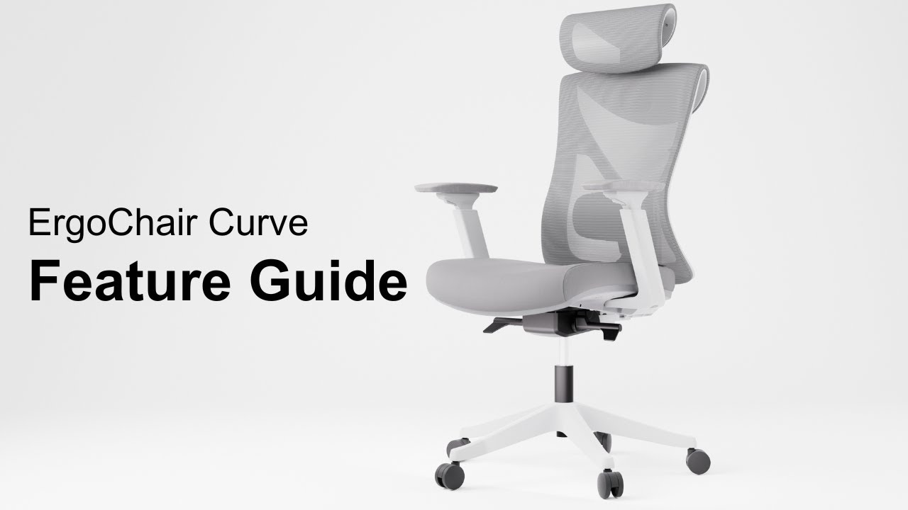 Advantages and Disadvantages of ErgoChair Curve