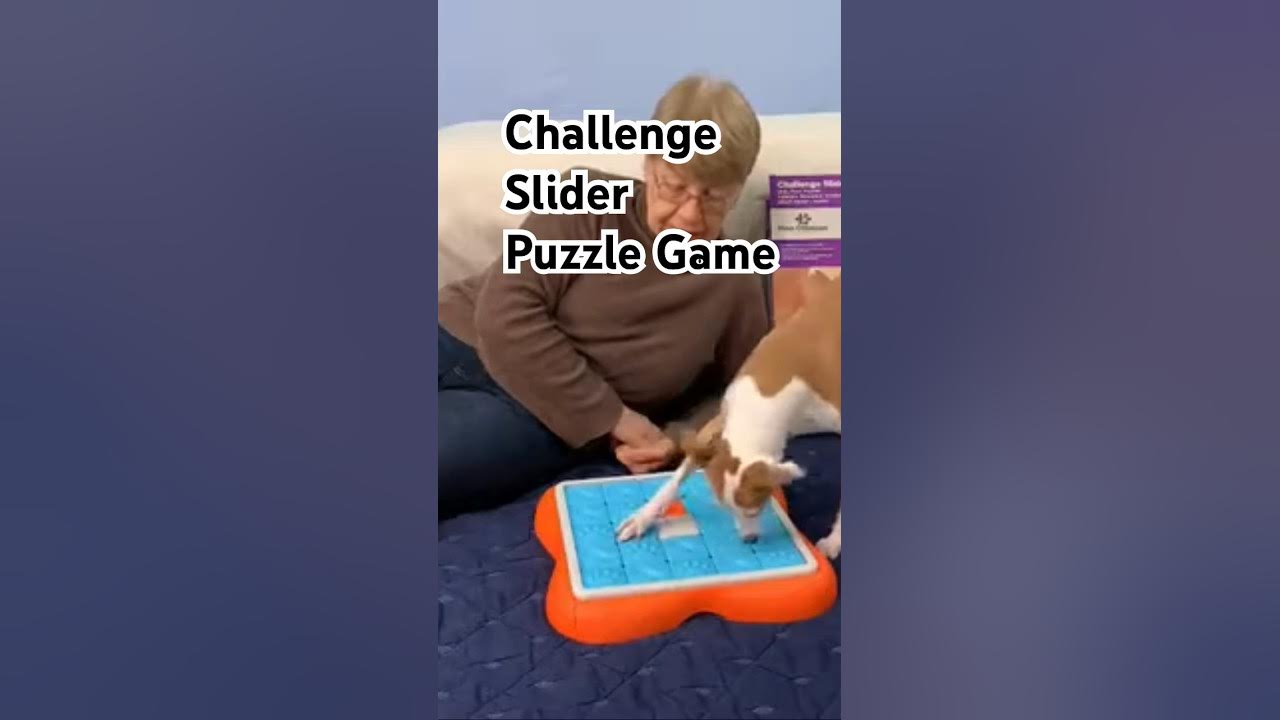 Nina Ottosson Challenge Slider Fun Puzzle Game For Your Dog 