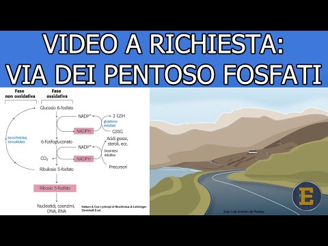 Video: Cosa fa la gliceraldeide 3 fosfato?