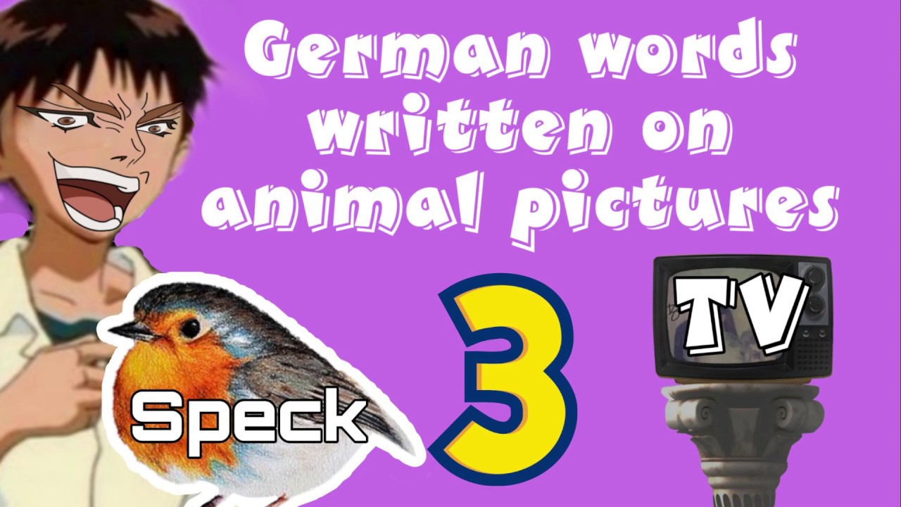 German Words Written On Animal Pictures TV Folge 3 - YouTube
