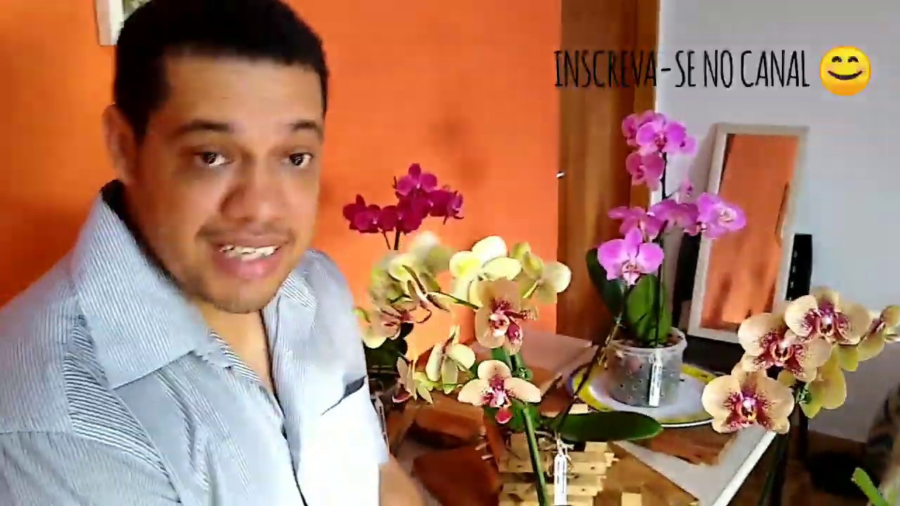 🌿 Como Replantar no CACHEPOT a sua Orquídea. 😁