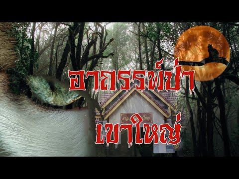 อาถรรพ์ป่า "เจ้าพ่อเขาใหญ่"