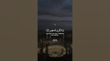 تلاوة الشيخ ماهر المعيقلي - سورة الشورى❤️❤️❤️. !