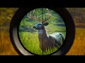 Hunting GOLD WHITETAIL and RARE PIEBALD Deer in The Hunter Call of the Wild