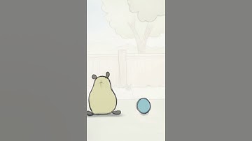 Flour sack and ball animation