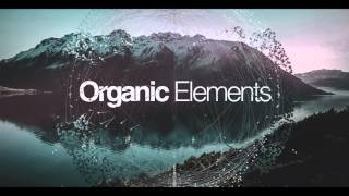 Black Octopus - Organic Elements