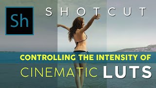 How to Control the Intensity of LUTs on Shotcut When Applying a Cinematic Look to Your Videos screenshot 3