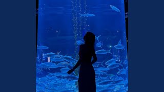 Download Lagu Mau Dibawa Kemana MP3