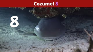 Cozumel part 8 - 2022 by Christy the Diver  173 views 1 year ago 2 minutes, 34 seconds