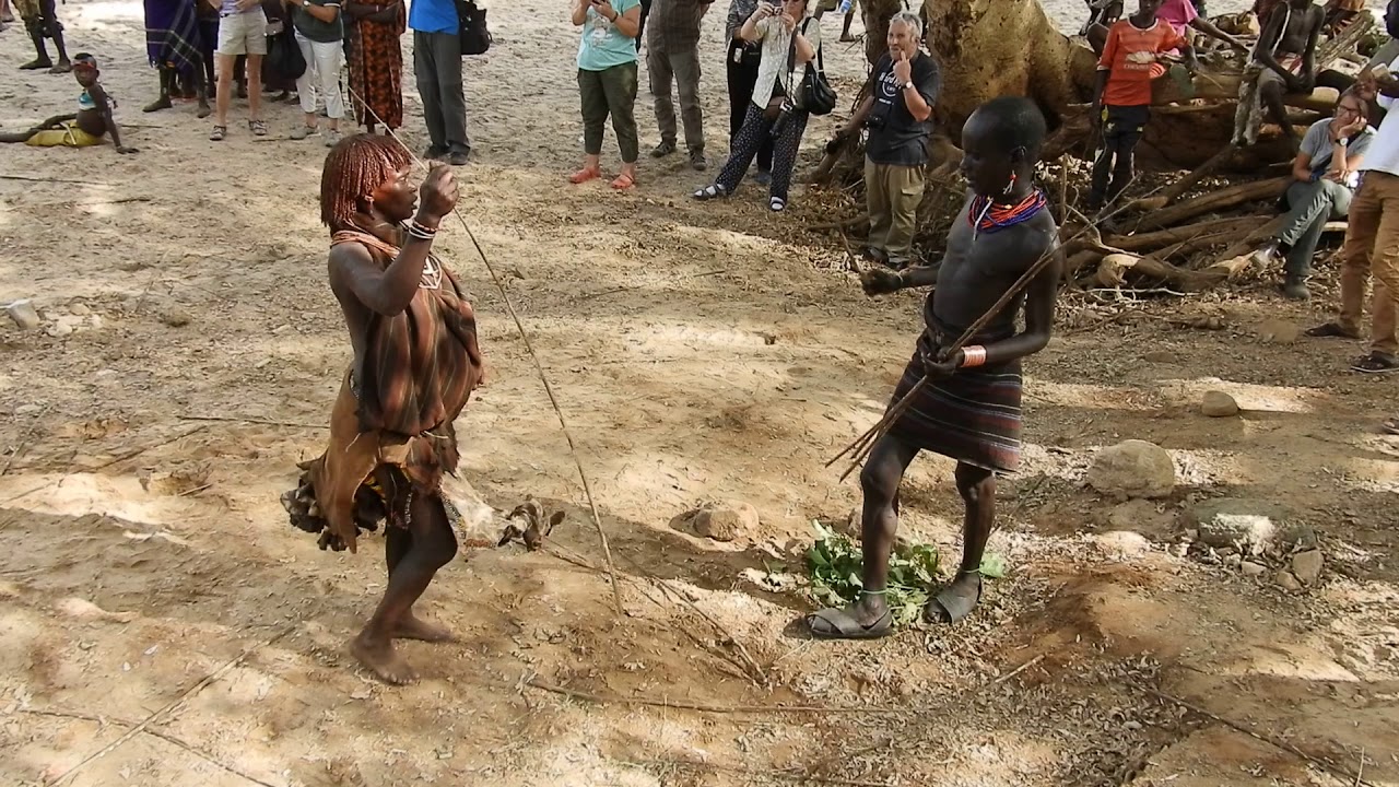 100  Hamer  Peitschen  Dimeka  18