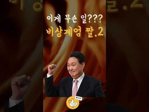 비상계엄 그거 그렇게 하는거 아닌데 윤석열 비상계엄 주식 경제 재테크 투자 유머 웃긴영상