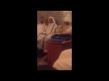 قراءة مغربية نادرة بالجمع الكبير  الشيخ عبد الله العايش