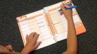 Middle School Organization