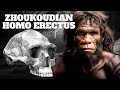 Asian Hominins Were an Evolutionary Dead-End?