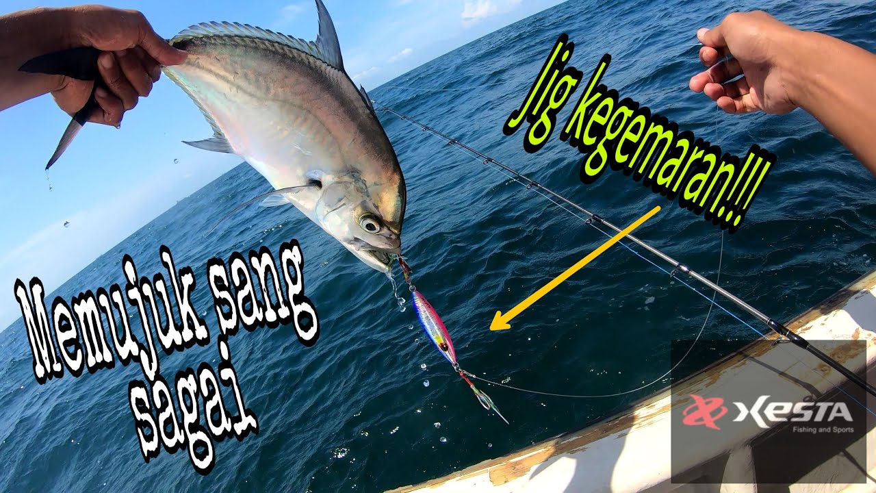 ikan sagai | longrakered trevally seastone memang padu [ tekog RM Rezza ]