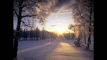 The Mercury Program - Backseat Blackout