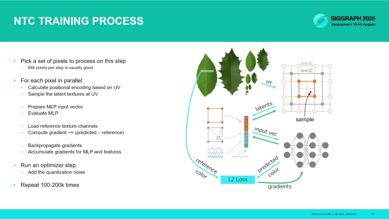 Neural Shading Course - Neural Texture Compression