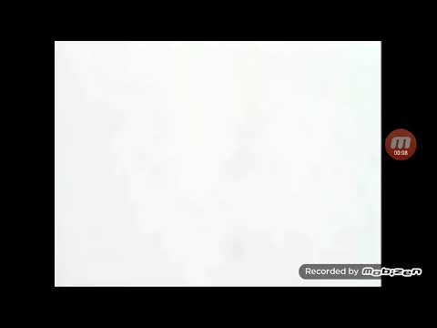 All Sailor Scouts Transformations.wmv