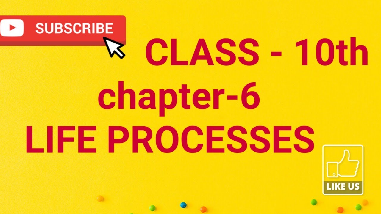 class -10th  "science"( chapter-6) life processes  part -1 by Himani Badhani Chaturvedy