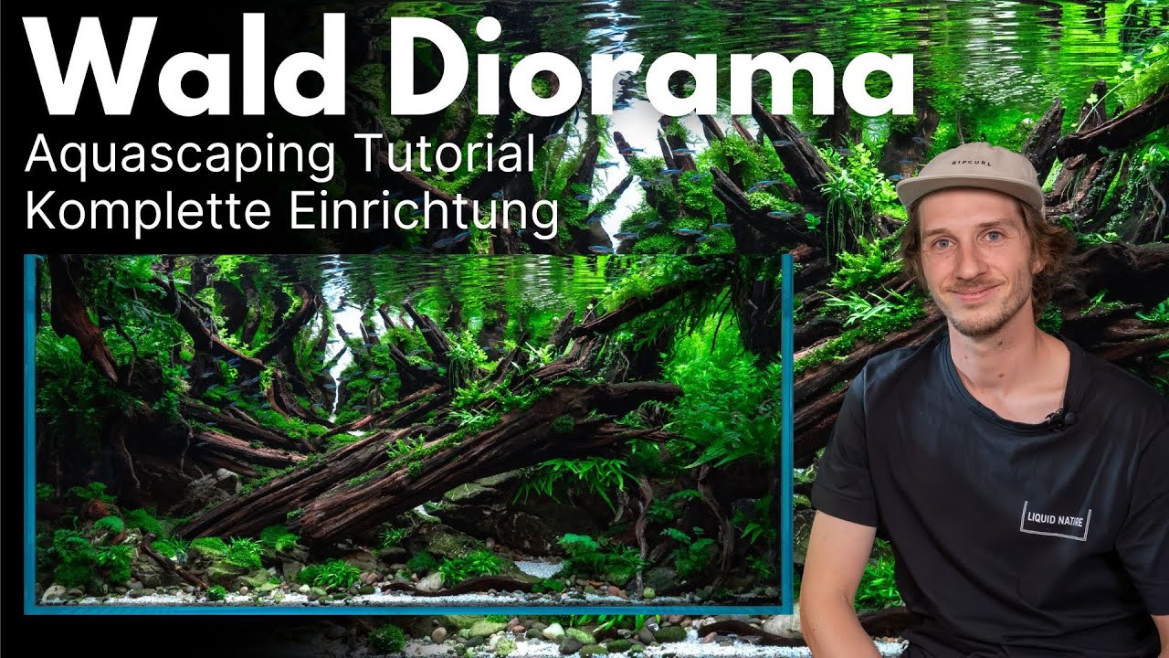 Aquascaping Tutorial: 90cm Wald Diorama Aquarium (Komplette Einrichtung)