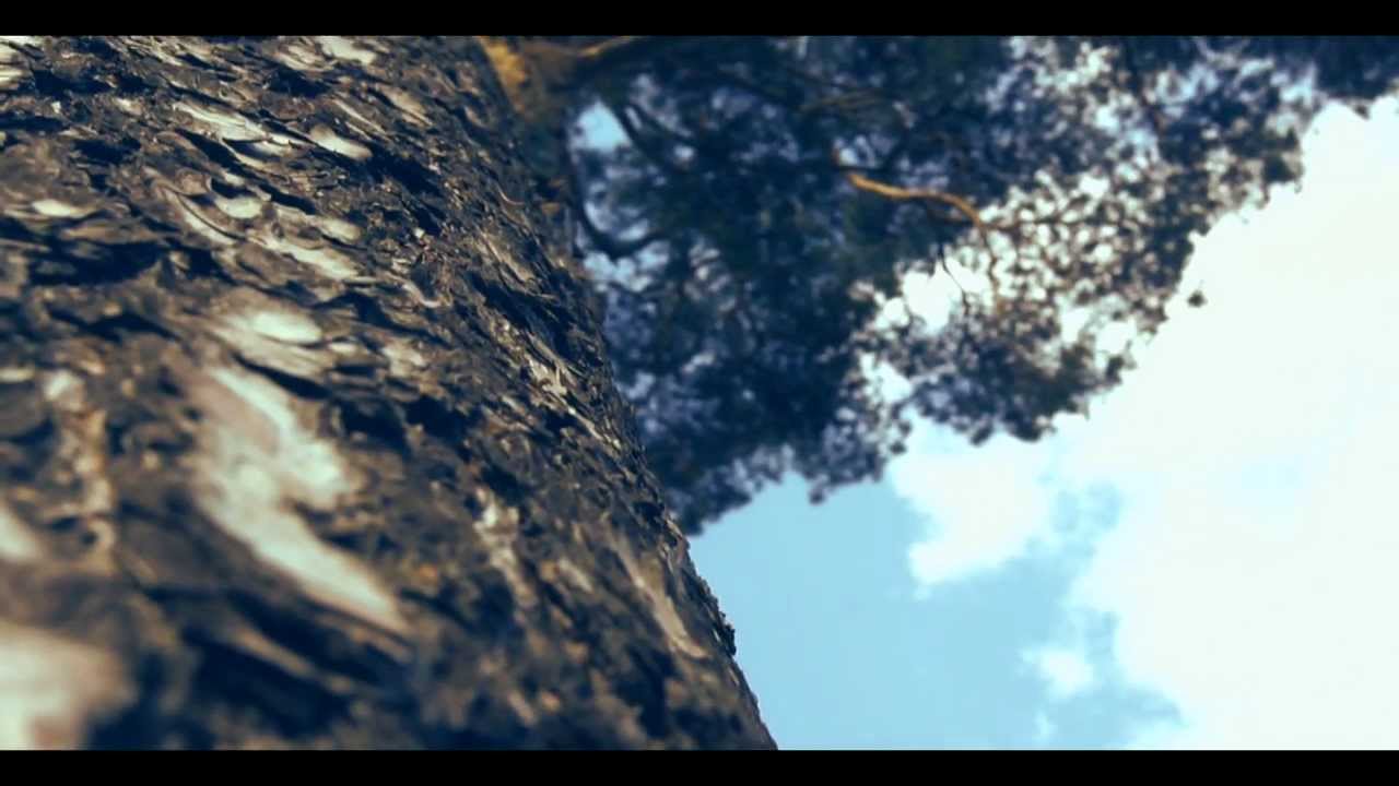 Тест Sony Alpha DSLR-A580 Kit.